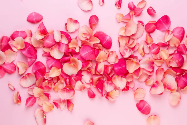 Dia dos Namorados. Rosa flores pétalas no fundo branco. Valente — Fotografia de Stock