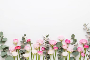 Beyaz bir arka plan üzerinde güzel renkli tipik çiçekler. Sprin