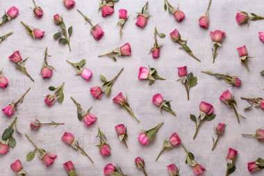 Çiçekler sevgililer günü kompozisyonu. GR üzerindeki pembe gülden yapılmış çerçeve