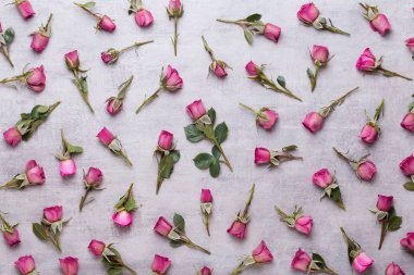 Çiçekler sevgililer günü kompozisyonu. GR üzerindeki pembe gülden yapılmış çerçeve