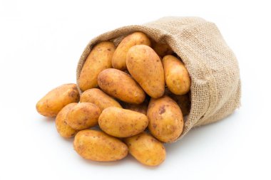 Biyolojik russet patates izole edilmiş beyaz arka plan.