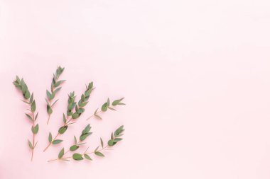 Çiçek ve eucaaliptus bileşimi. Desen çeşitli col yaptı