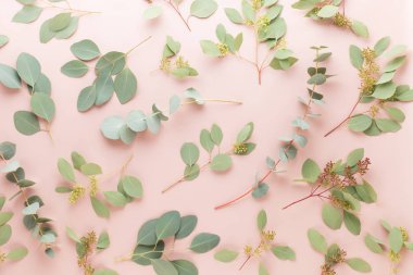 Çiçek ve eucaaliptus bileşimi. Desen çeşitli col yaptı