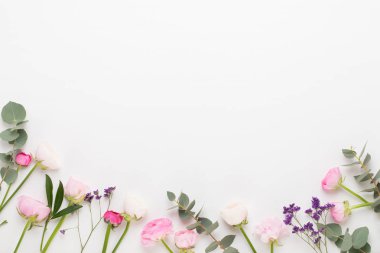 Beyaz bir arka plan üzerinde güzel renkli tipik çiçekler. Sprin