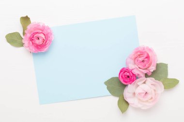 Beyaz bir arka plan üzerinde güzel renkli tipik çiçekler. Spri