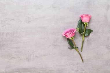 Çiçekler sevgililer günü kompozisyonu. GR üzerindeki pembe gülden yapılmış çerçeve