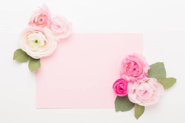 Beyaz bir arka plan üzerinde güzel renkli tipik çiçekler. Spri