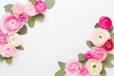 Beyaz bir arka plan üzerinde güzel renkli tipik çiçekler. Spri