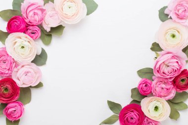 Beyaz bir arka plan üzerinde güzel renkli tipik çiçekler. Spri