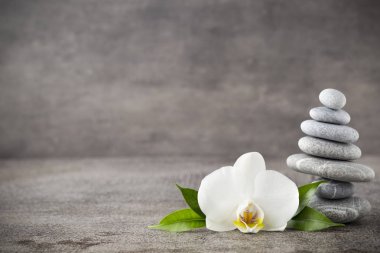 Gri arka plan üzerinde beyaz orkide ve spa taşlar.