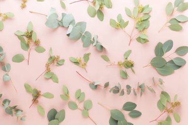 Çiçek ve eucaaliptus bileşimi. Desen çeşitli col yaptı