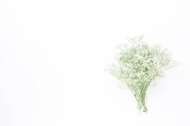 Çiçek kompozisyon. Pastel pembe adam Gypsophila çiçekler