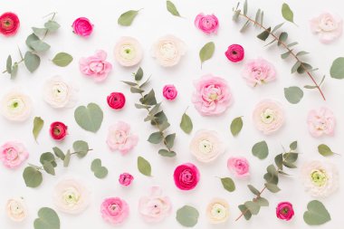 Beyaz bir arka plan üzerinde güzel renkli tipik çiçekler. Sprin