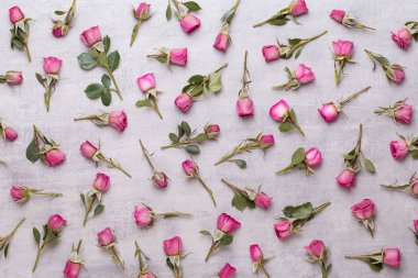 Çiçekler sevgililer günü kompozisyonu. GR üzerindeki pembe gülden yapılmış çerçeve