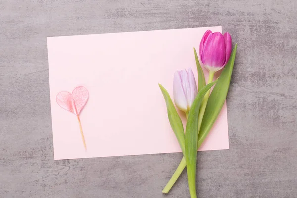 Frühling Grußkarte, rosa Farbe Tulpen auf dem grauen Hintergrund. — Stockfoto