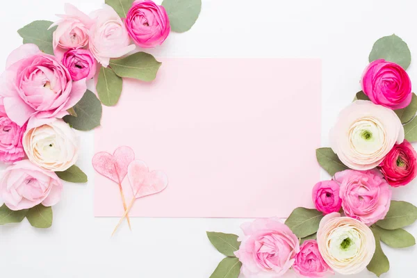 Schöne farbige Hahnenfußblüten auf weißem Hintergrund. spri — Stockfoto