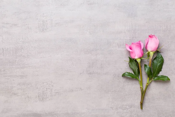 Квіти валентинки день композиції. Рамка з рожевої троянди на gr — стокове фото