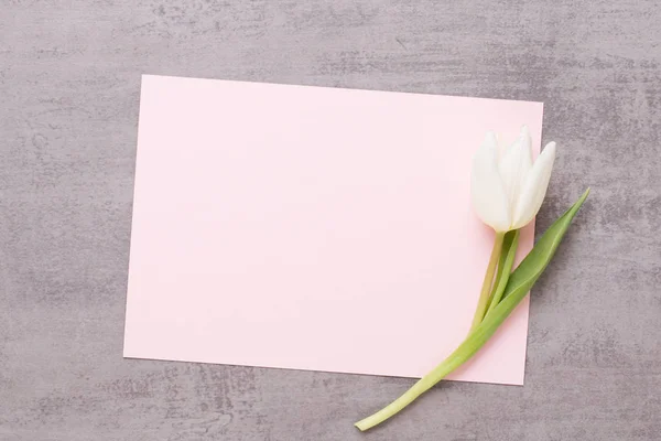 Frühling Grußkarte, rosa Farbe Tulpen auf dem grauen Hintergrund. — Stockfoto