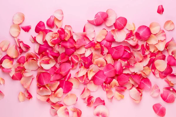 Dia dos Namorados. Rosa flores pétalas no fundo branco. Valente — Fotografia de Stock