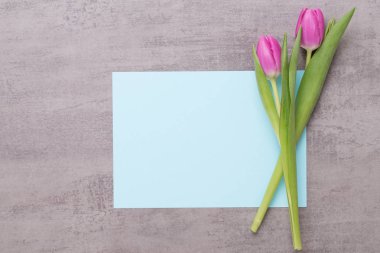 Bahar tebrik kartı, gri arka plan üzerinde pembe renk laleler.