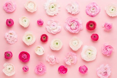 Güzel renkli tipik çiçekler pembe bir arka plan üzerinde. Spri