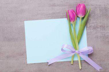 Bahar tebrik kartı, gri arka plan üzerinde pembe renk laleler.
