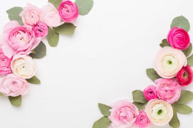 Beyaz bir arka plan üzerinde güzel renkli tipik çiçekler. Spri