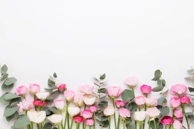 Beyaz bir arka plan üzerinde güzel renkli tipik çiçekler. Sprin