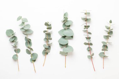 Çiçek ve eucaaliptus bileşimi. Desen çeşitli col yaptı