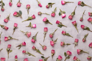 Çiçekler sevgililer günü kompozisyonu. GR üzerindeki pembe gülden yapılmış çerçeve