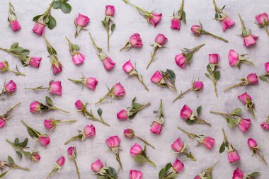 Çiçekler sevgililer günü kompozisyonu. GR üzerindeki pembe gülden yapılmış çerçeve