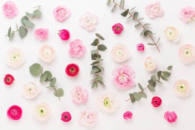 Beyaz bir arka plan üzerinde güzel renkli tipik çiçekler. Sprin