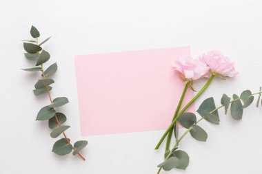 Beyaz bir arka plan üzerinde güzel renkli tipik çiçekler. Sprin