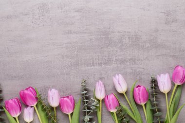 Bahar tebrik kartı, gri arka plan üzerinde pastel renk laleler