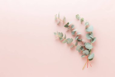 Çiçek ve eucaaliptus bileşimi. Desen çeşitli col yaptı