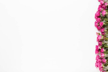 Çiçek kompozisyon. Kırmızı ile yapılmış kare geri ahşap beyaz gül