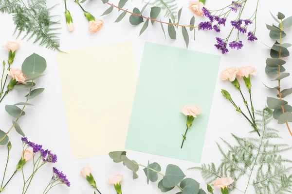 Composición de flores. Papel en blanco, flores de clavel, eucalipto — Foto de Stock