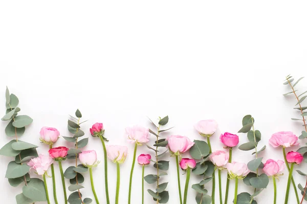 Beyaz bir arka plan üzerinde güzel renkli tipik çiçekler. Sprin — Stok fotoğraf