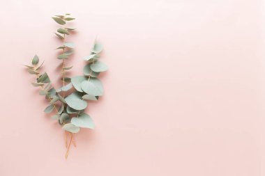 Çiçek ve eucaaliptus bileşimi. Desen çeşitli col yaptı