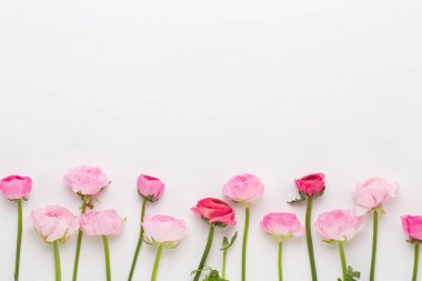 Beyaz bir arka plan üzerinde güzel renkli tipik çiçekler.