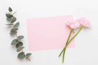 Beyaz bir arka plan üzerinde güzel renkli tipik çiçekler. Sprin