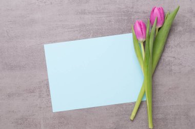 Bahar tebrik kartı, gri arka plan üzerinde pembe renk laleler.