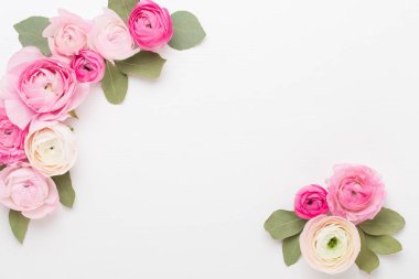 Beyaz bir arka plan üzerinde güzel renkli tipik çiçekler. Spri