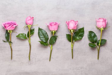Çiçekler sevgililer günü kompozisyonu. GR üzerindeki pembe gülden yapılmış çerçeve