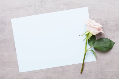 Çiçekler sevgililer günü kompozisyonu. GR üzerindeki pembe gülden yapılmış çerçeve