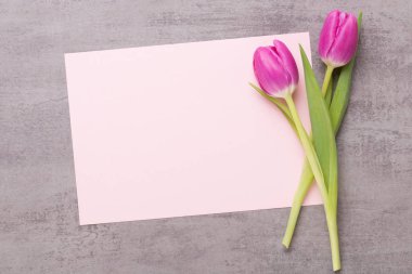 Bahar tebrik kartı, gri arka plan üzerinde pembe renk laleler.