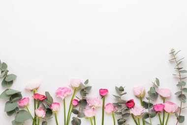 Beyaz bir arka plan üzerinde güzel renkli tipik çiçekler. Sprin