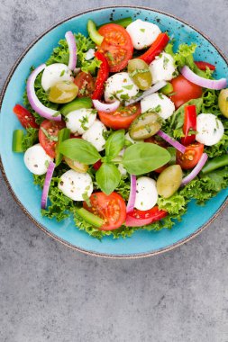 Sebze salatası peynir Mozzarella peyniri, domates, basilikum ve 