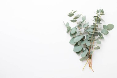 Çiçek ve eucaaliptus bileşimi. Desen çeşitli col yaptı