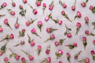 Çiçekler sevgililer günü kompozisyonu. GR üzerindeki pembe gülden yapılmış çerçeve